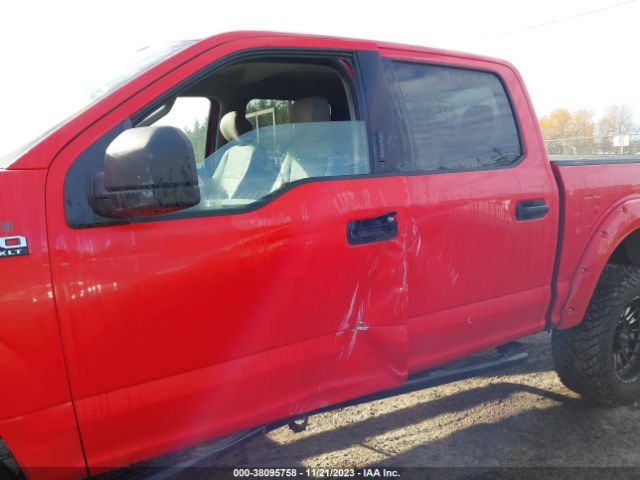 Photo 5 VIN: 1FTEW1E43LFB56072 - FORD F-150 