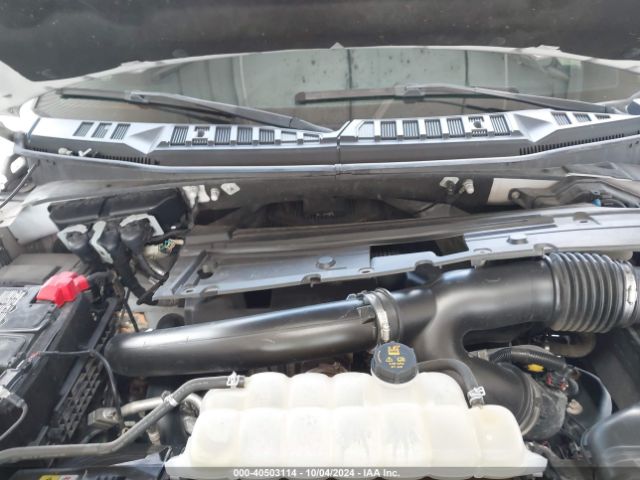 Photo 9 VIN: 1FTEW1E44LFB07558 - FORD F-150 