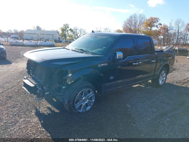 Photo 1 VIN: 1FTEW1E46KFC18904 - FORD F-150 