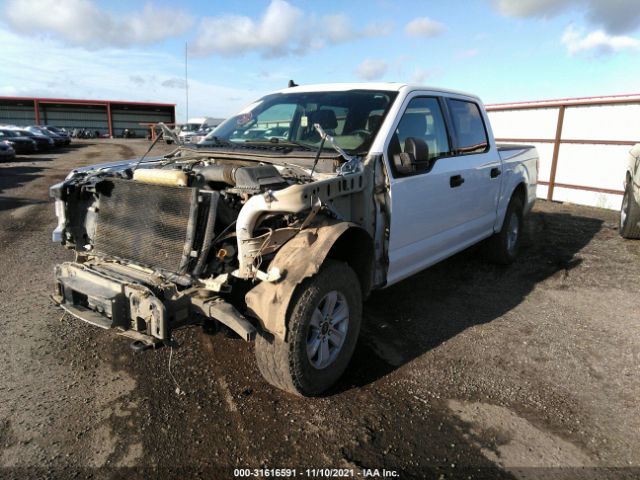 Photo 1 VIN: 1FTEW1E46KKC43440 - FORD F-150 