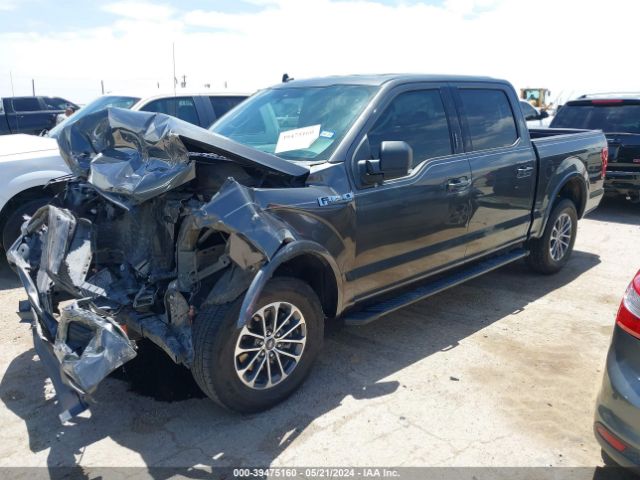 Photo 1 VIN: 1FTEW1E46KKE33545 - FORD F-150 