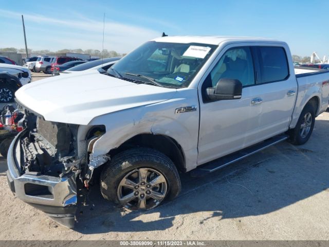 Photo 1 VIN: 1FTEW1E46LKE79233 - FORD F150 