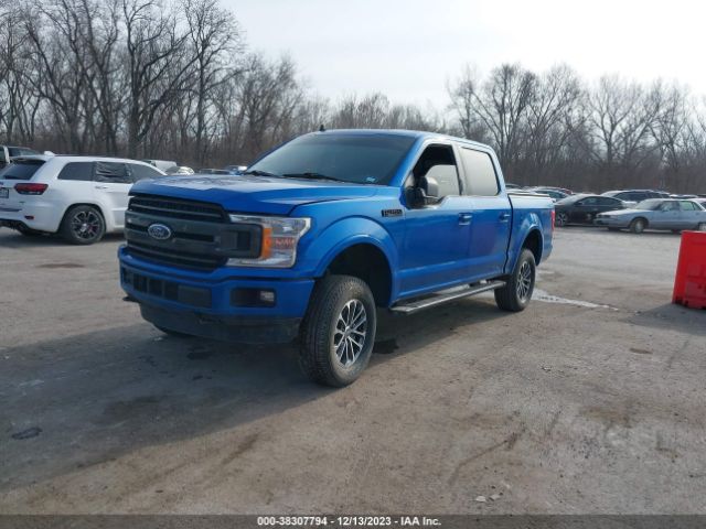 Photo 1 VIN: 1FTEW1E48LFC47130 - FORD F-150 