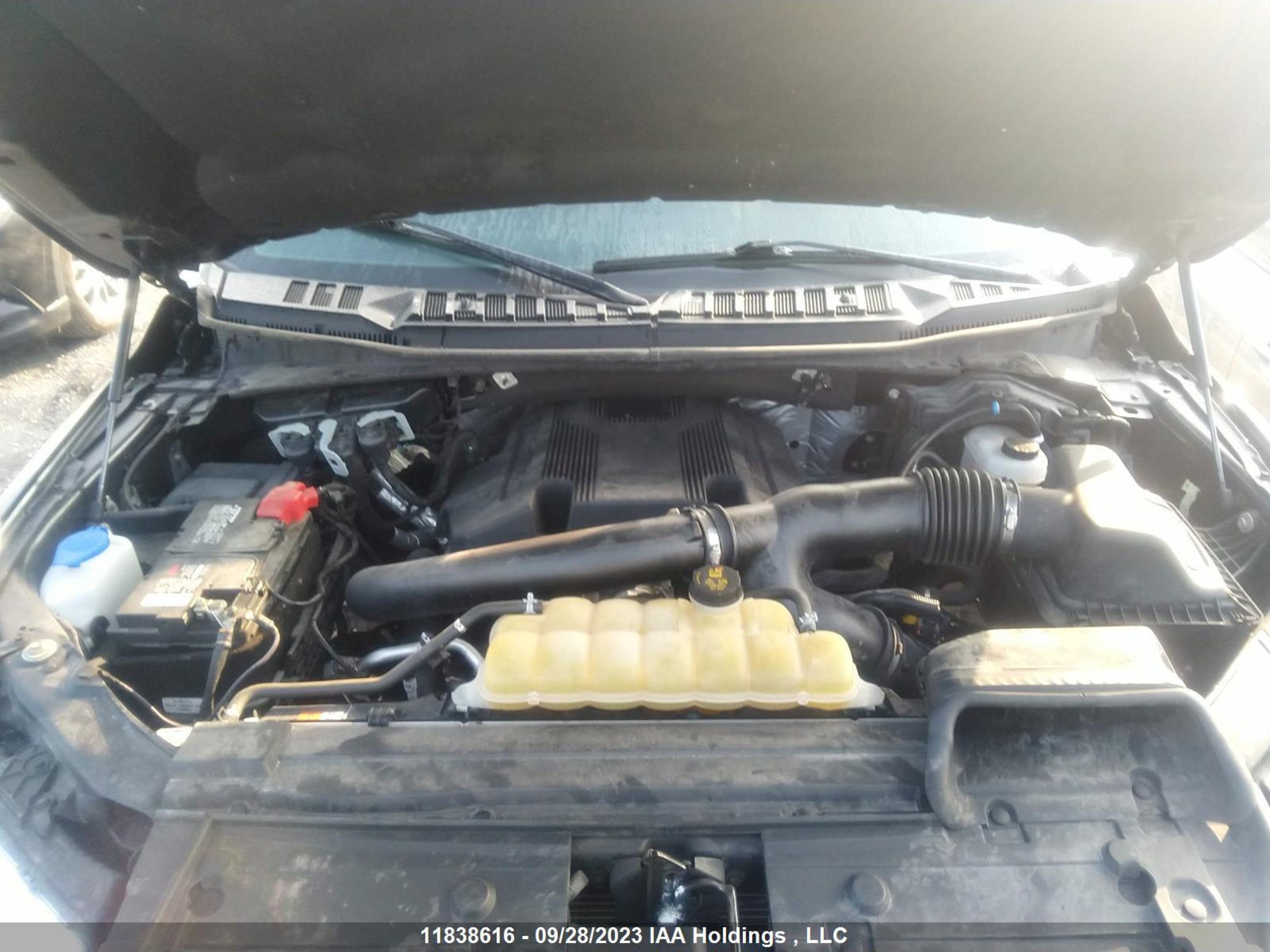 Photo 9 VIN: 1FTEW1E48LKF49802 - FORD F-150 