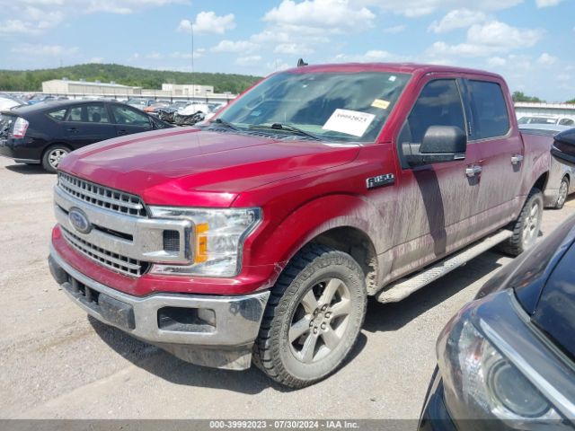 Photo 1 VIN: 1FTEW1E49KKC11792 - FORD F-150 