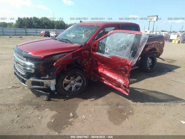 Photo 1 VIN: 1FTEW1E4XLKE55923 - FORD F-150 