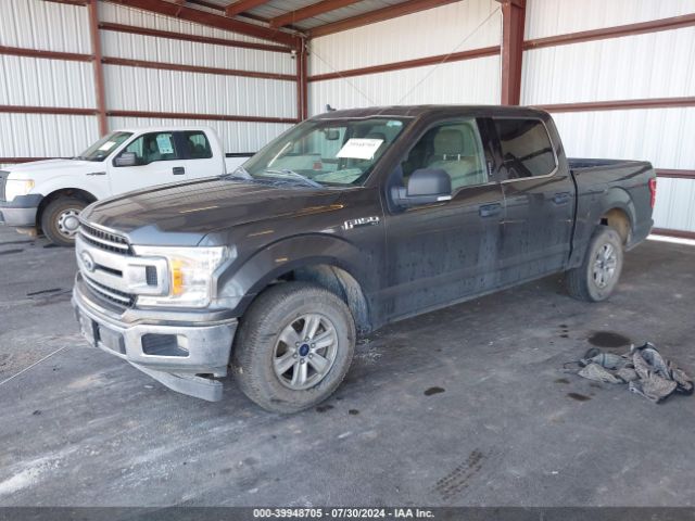 Photo 1 VIN: 1FTEW1E50JKF06769 - FORD F-150 