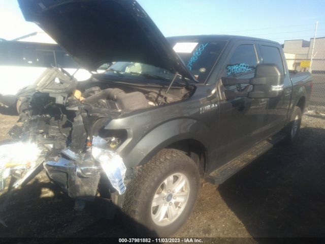 Photo 1 VIN: 1FTEW1E51JKE16711 - FORD F-150 