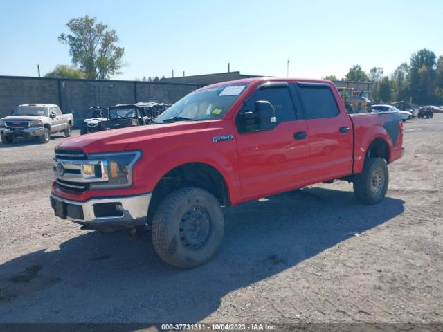 Photo 1 VIN: 1FTEW1E52KFA20488 - FORD F-150 