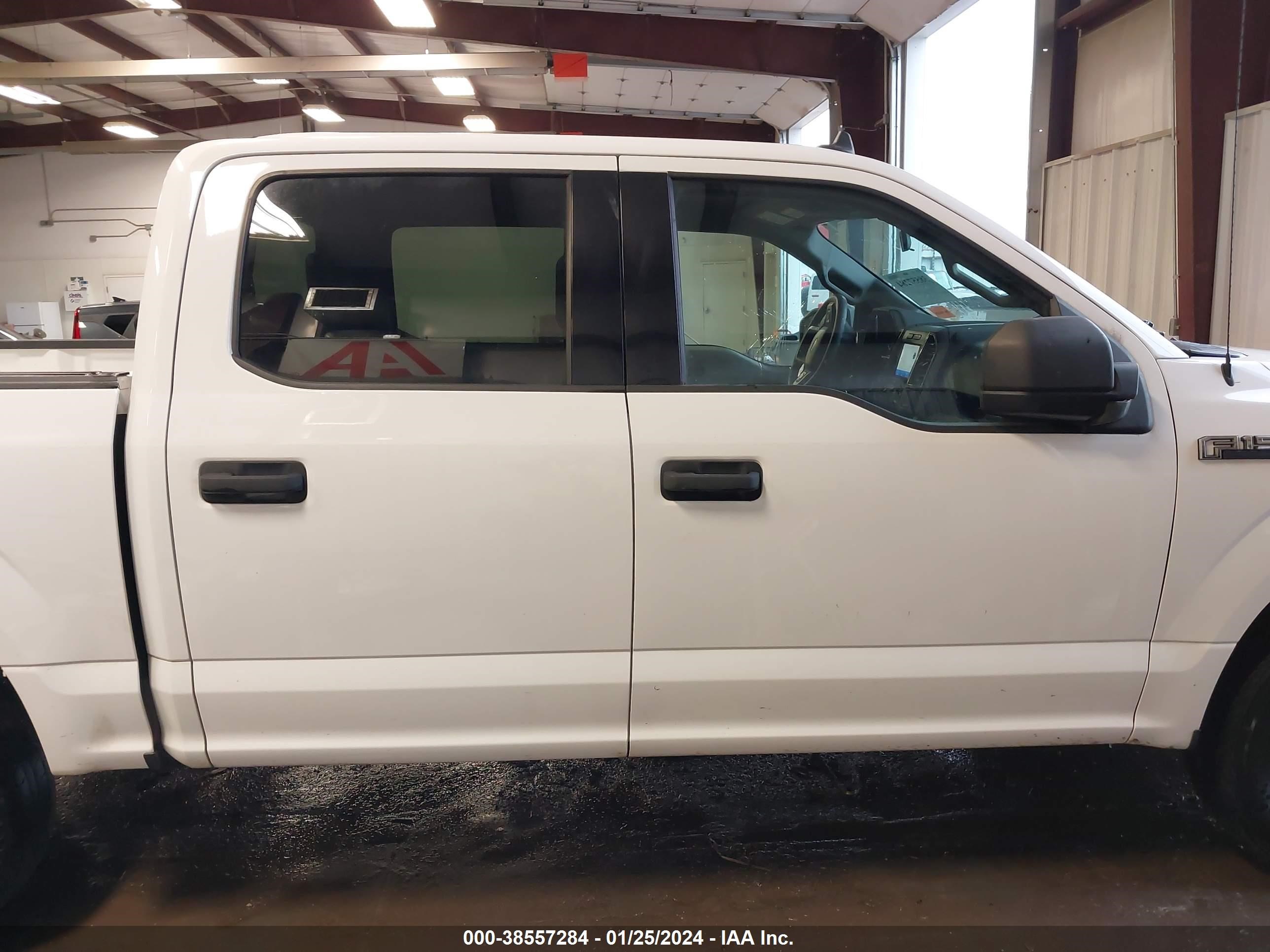 Photo 12 VIN: 1FTEW1E52LKD50866 - FORD F-150 