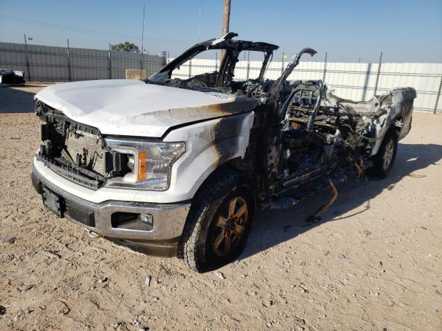 Photo 1 VIN: 1FTEW1E52LKF02824 - FORD F150 SUPER 