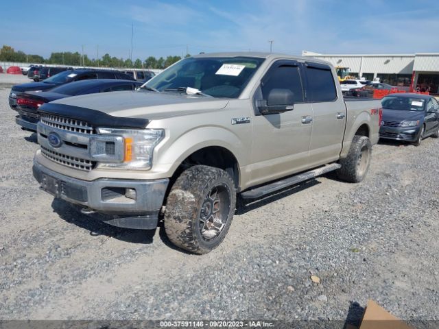 Photo 1 VIN: 1FTEW1E53JFB79499 - FORD F-150 