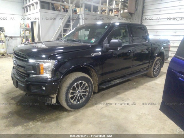 Photo 1 VIN: 1FTEW1E54JFA91416 - FORD F-150 