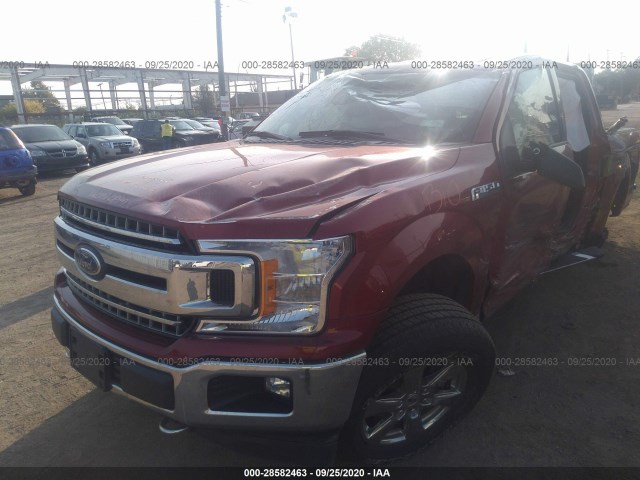 Photo 1 VIN: 1FTEW1E54KFA10609 - FORD F-150 