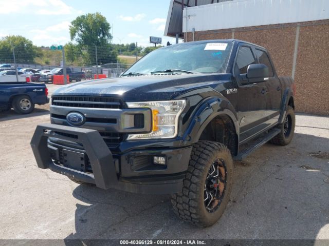 Photo 1 VIN: 1FTEW1E55JFD44369 - FORD F-150 