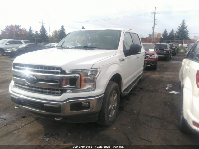 Photo 1 VIN: 1FTEW1E56KFC55590 - FORD F-150 