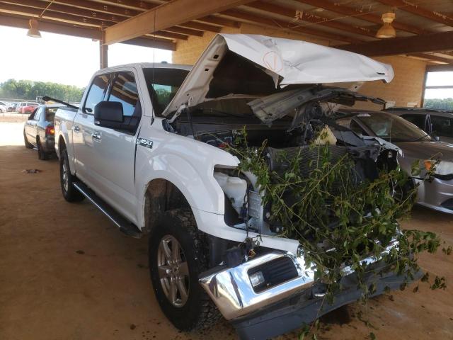 Photo 0 VIN: 1FTEW1E57JFC86328 - FORD F-150 