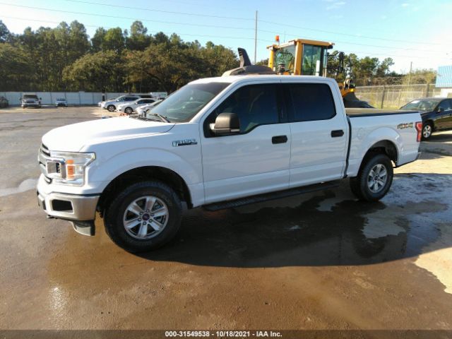 Photo 1 VIN: 1FTEW1E5XJKC35607 - FORD F-150 