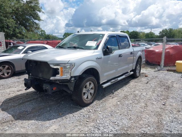 Photo 1 VIN: 1FTEW1E5XKFB20368 - FORD F-150 