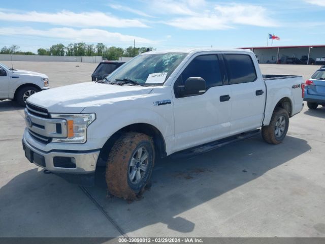 Photo 1 VIN: 1FTEW1E5XKKD06662 - FORD F150 