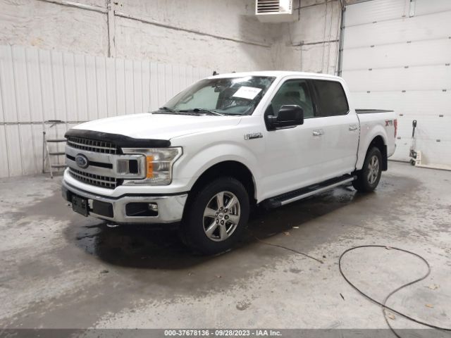 Photo 1 VIN: 1FTEW1E5XKKD78297 - FORD F-150 