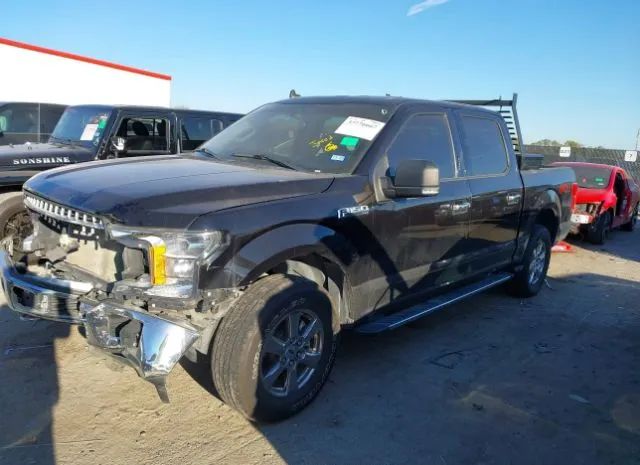 Photo 1 VIN: 1FTEW1E5XLKD08235 - FORD F150 