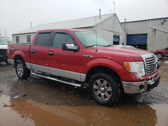 Photo 3 VIN: 1FTEW1E80AFC64438 - FORD F150 SUPER 