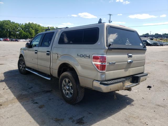 Photo 2 VIN: 1FTEW1E80AFD10432 - FORD F150 SUPER 