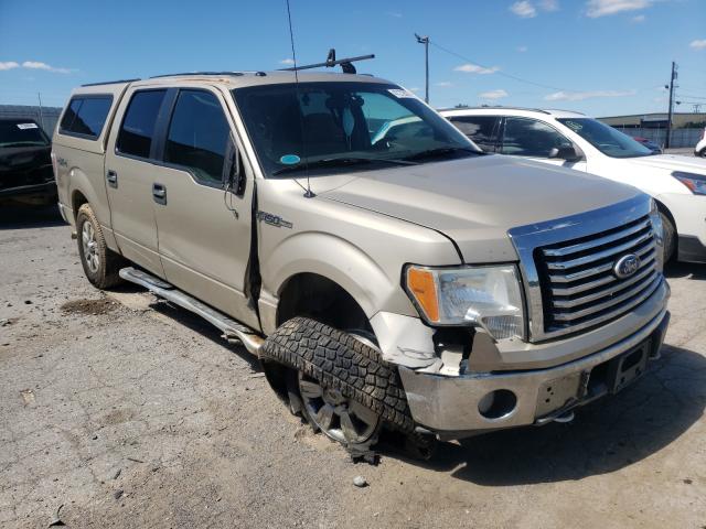 Photo 8 VIN: 1FTEW1E80AFD10432 - FORD F150 SUPER 