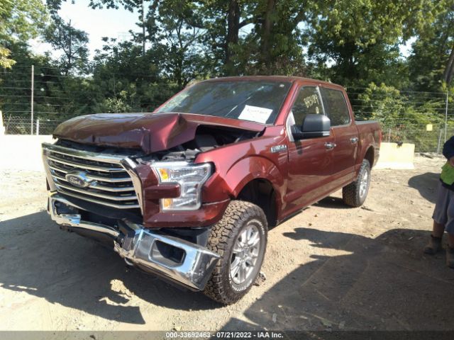 Photo 1 VIN: 1FTEW1E80HFB43189 - FORD F-150 