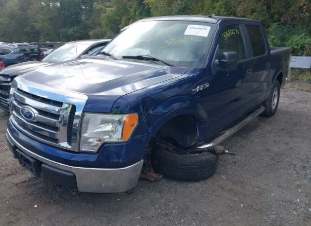 Photo 5 VIN: 1FTEW1E81AFB20736 - FORD F-150 