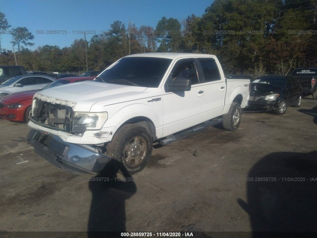 Photo 1 VIN: 1FTEW1E81AFB42915 - FORD F-150 