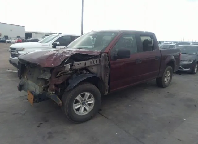 Photo 1 VIN: 1FTEW1E81GFC31358 - FORD F-150 