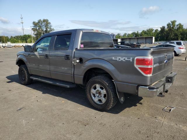 Photo 1 VIN: 1FTEW1E82AFD07189 - FORD F150 SUPER 