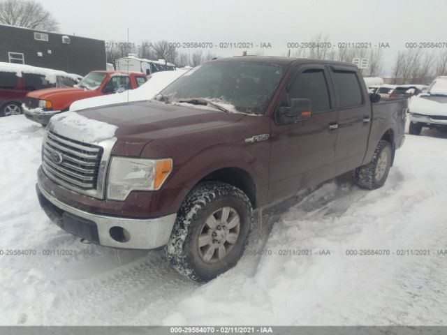 Photo 1 VIN: 1FTEW1E82AFD46798 - FORD F-150 