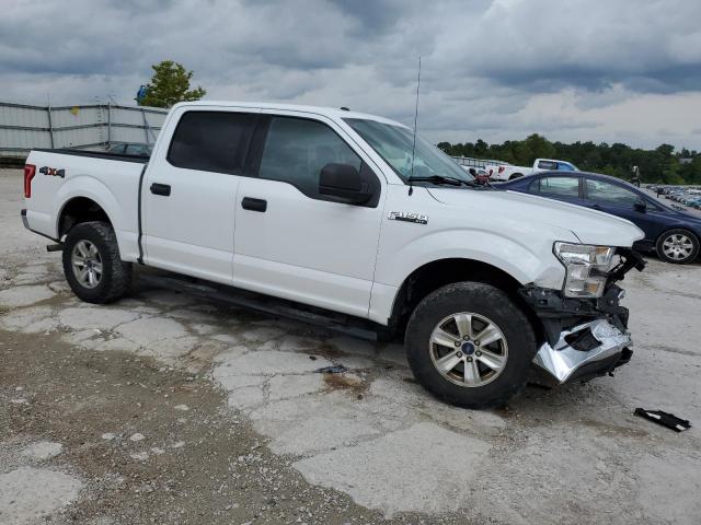 Photo 3 VIN: 1FTEW1E82GFC60643 - FORD F150 SUPER 