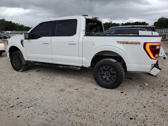 Photo 1 VIN: 1FTEW1E82MFC59245 - FORD F150 SUPER 