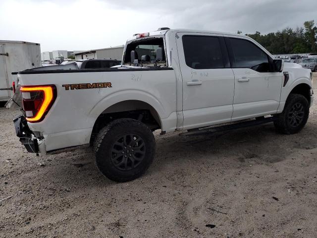 Photo 2 VIN: 1FTEW1E82MFC59245 - FORD F150 SUPER 