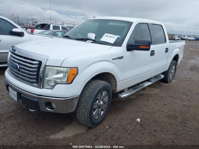 Photo 1 VIN: 1FTEW1E86AFD54824 - FORD F-150 