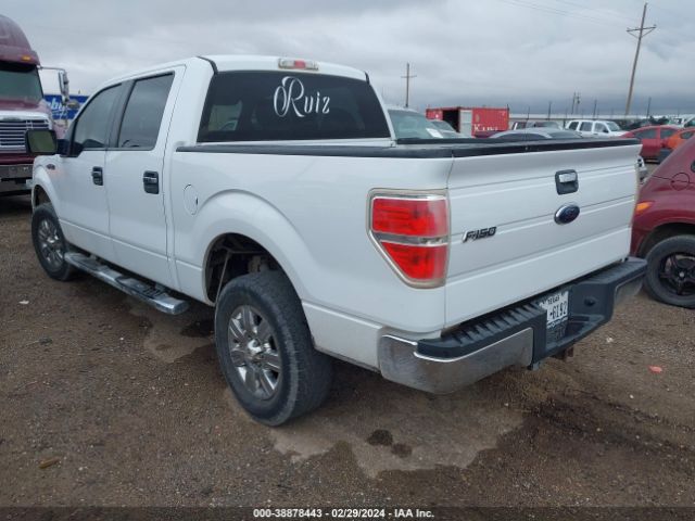 Photo 7 VIN: 1FTEW1E86AFD54824 - FORD F-150 