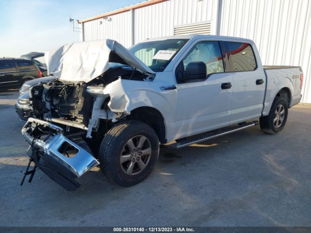 Photo 1 VIN: 1FTEW1E86GFC08237 - FORD F-150 