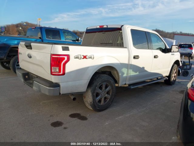 Photo 3 VIN: 1FTEW1E86GFC08237 - FORD F-150 