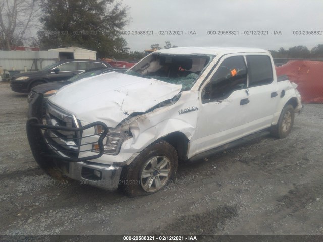 Photo 1 VIN: 1FTEW1E86HKD00862 - FORD F-150 