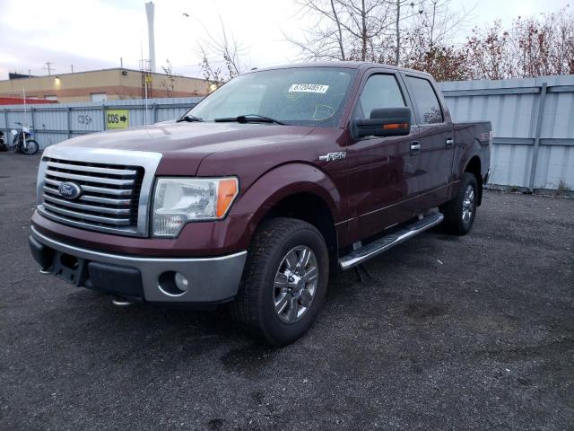 Photo 1 VIN: 1FTEW1E87AFC41450 - FORD F150 SUPER 