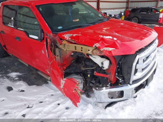 Photo 5 VIN: 1FTEW1E87FKD45824 - FORD F-150 