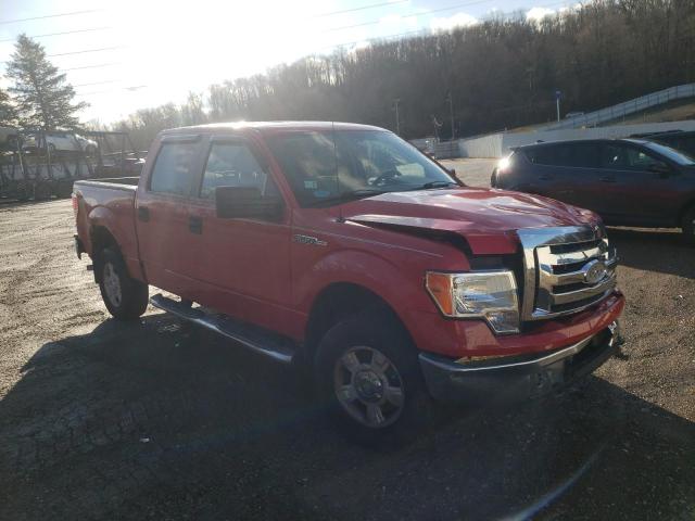 Photo 3 VIN: 1FTEW1E88AFB02394 - FORD F150 SUPER 