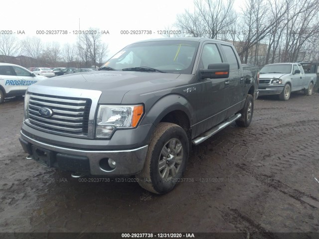 Photo 1 VIN: 1FTEW1E88AFB24119 - FORD F-150 