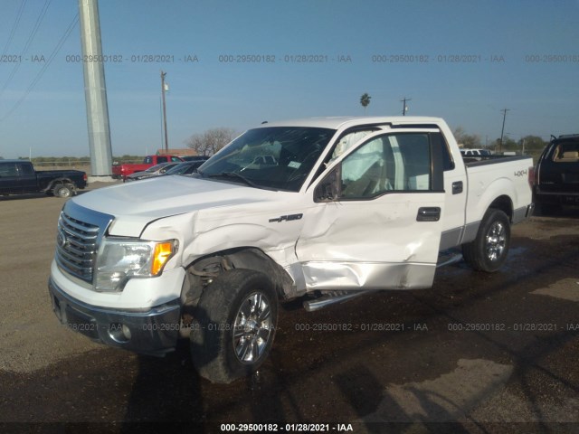 Photo 1 VIN: 1FTEW1E89AFD78843 - FORD F-150 