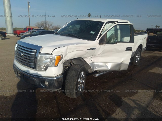 Photo 5 VIN: 1FTEW1E89AFD78843 - FORD F-150 