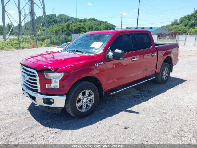 Photo 1 VIN: 1FTEW1E89GFB67375 - FORD F-150 